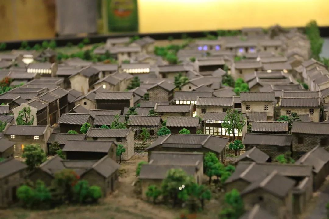 The Puyuan Miracle: Dissecting the Fabric of a Global Sweater Empire