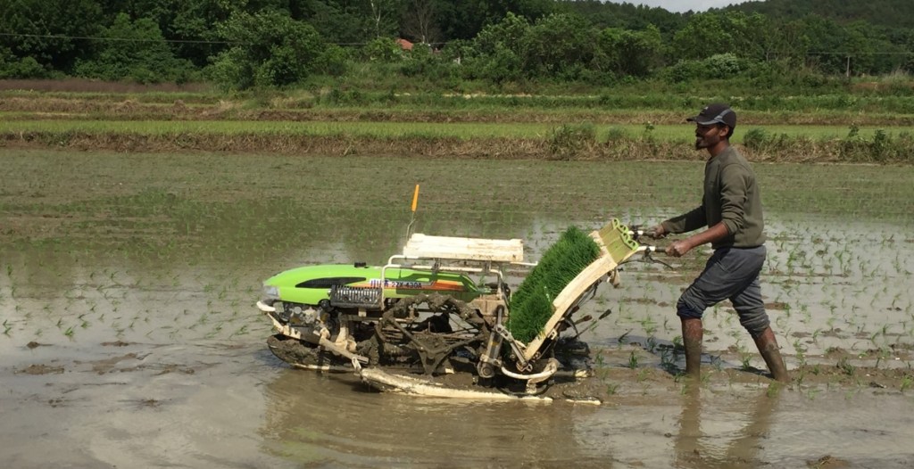 Innovative Digital Solutions for a Smart Farm in Rural China&nbsp;(Video)