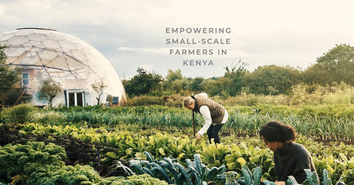 A Microfinance Experiment for Kenya's Small-Scale Farmers