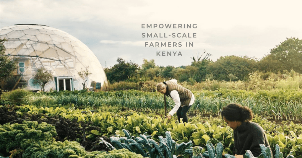 A Microfinance Experiment for Kenya’s Small-Scale&nbsp;Farmers