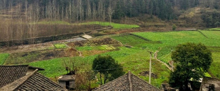 Taobao Effect: How Ecommerce is Transforming Rural China